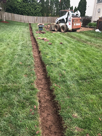 grass sod installation northern va